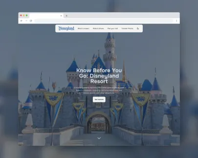 DisneyLand Resort